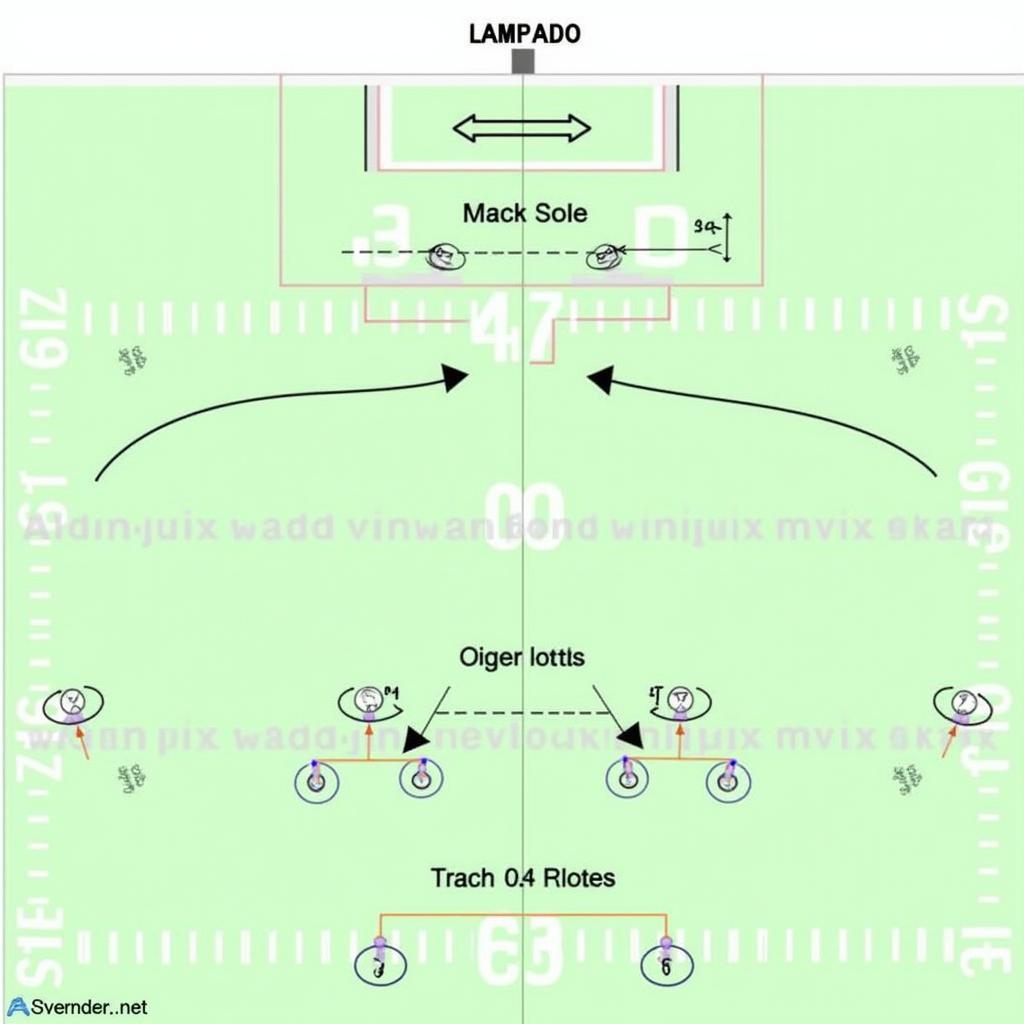 Flex Tight End Alignment in Football