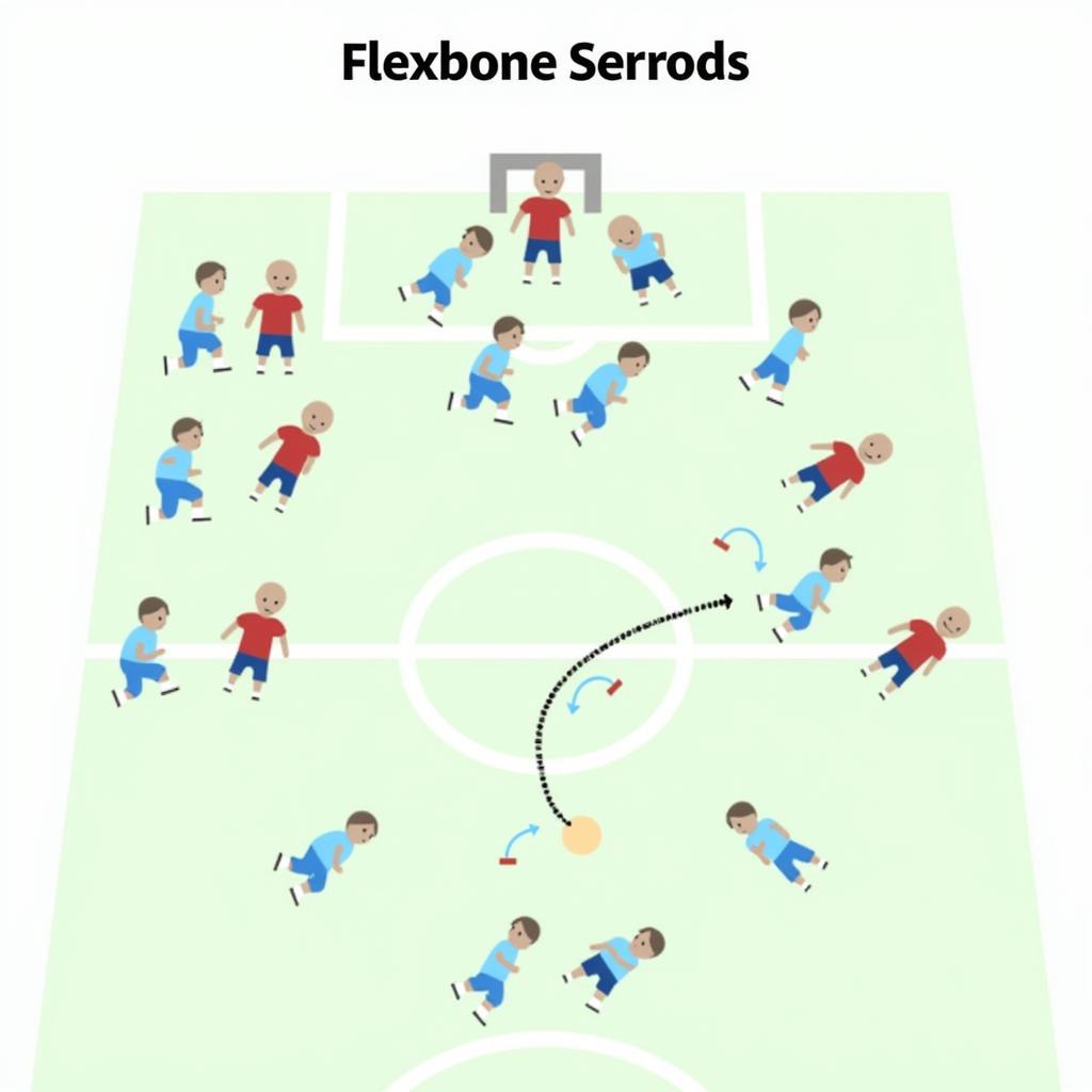 Variations of the Flexbone Formation