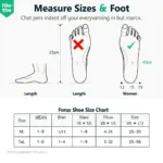 Forus Shoes Size Guide