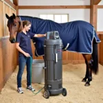 Horse Being Dried with a Stand Dryer