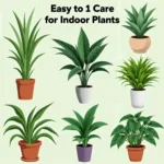 Indoor Plants for Beginners: Creating a Green Haven in Your Home