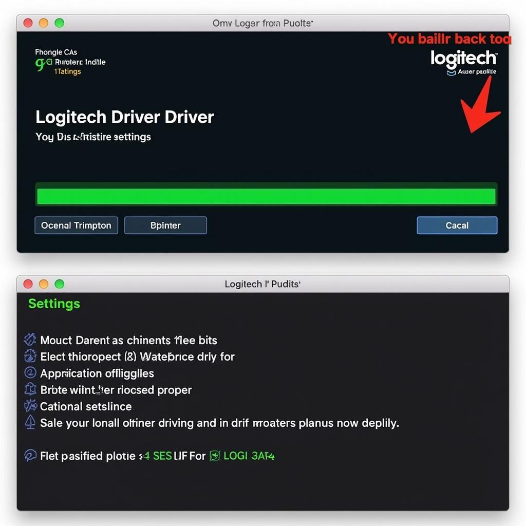 Logitech Driving Force GT Driver Installation