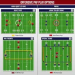 Madden NFL Offensive Playbook