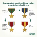 Medal of Honor Identification Guide