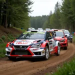 Mid-Range Rally Cars for Regional Competitions