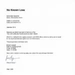 Example of a No Known Loss Letter