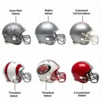 Types of Ohio State Helmets