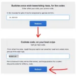 Promo Code Redemption Process