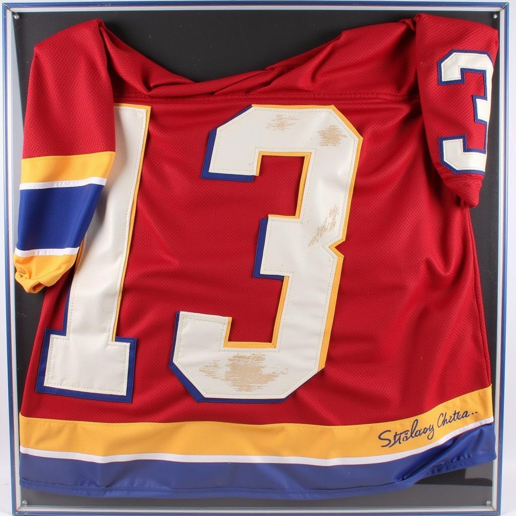 Schwartz Sports Authentic Game-Worn Jersey