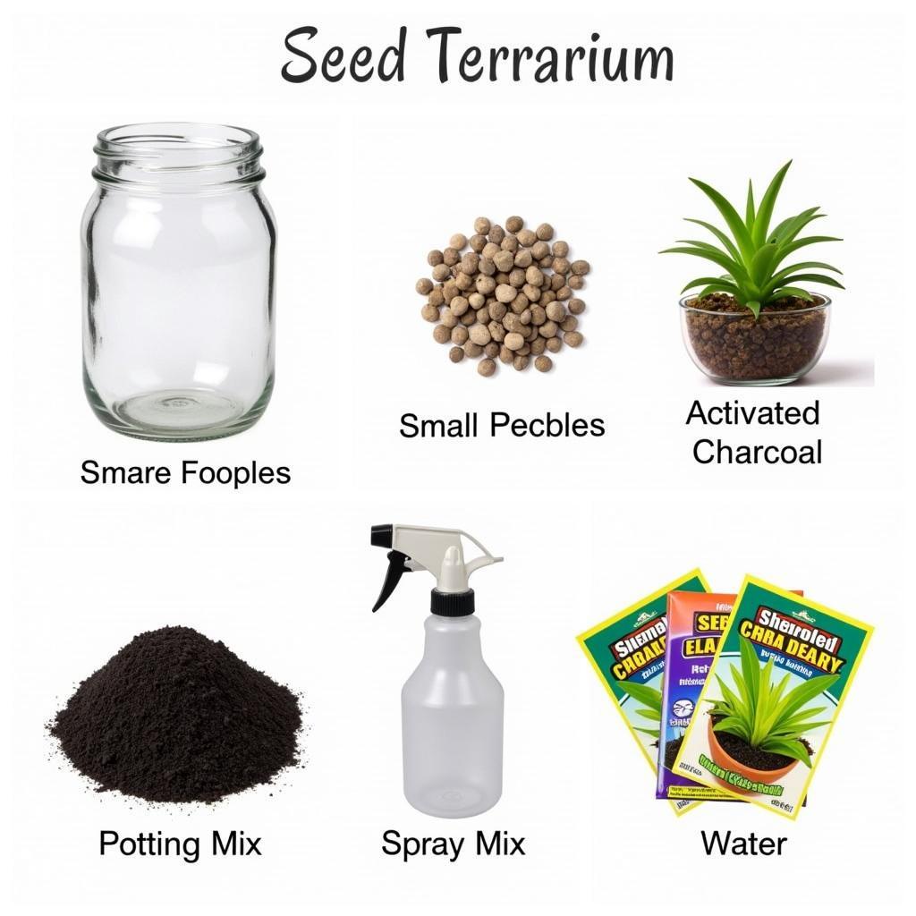 Essential Seed Terrarium Materials