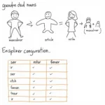 Spanish Gendered Nouns and Verb Conjugations