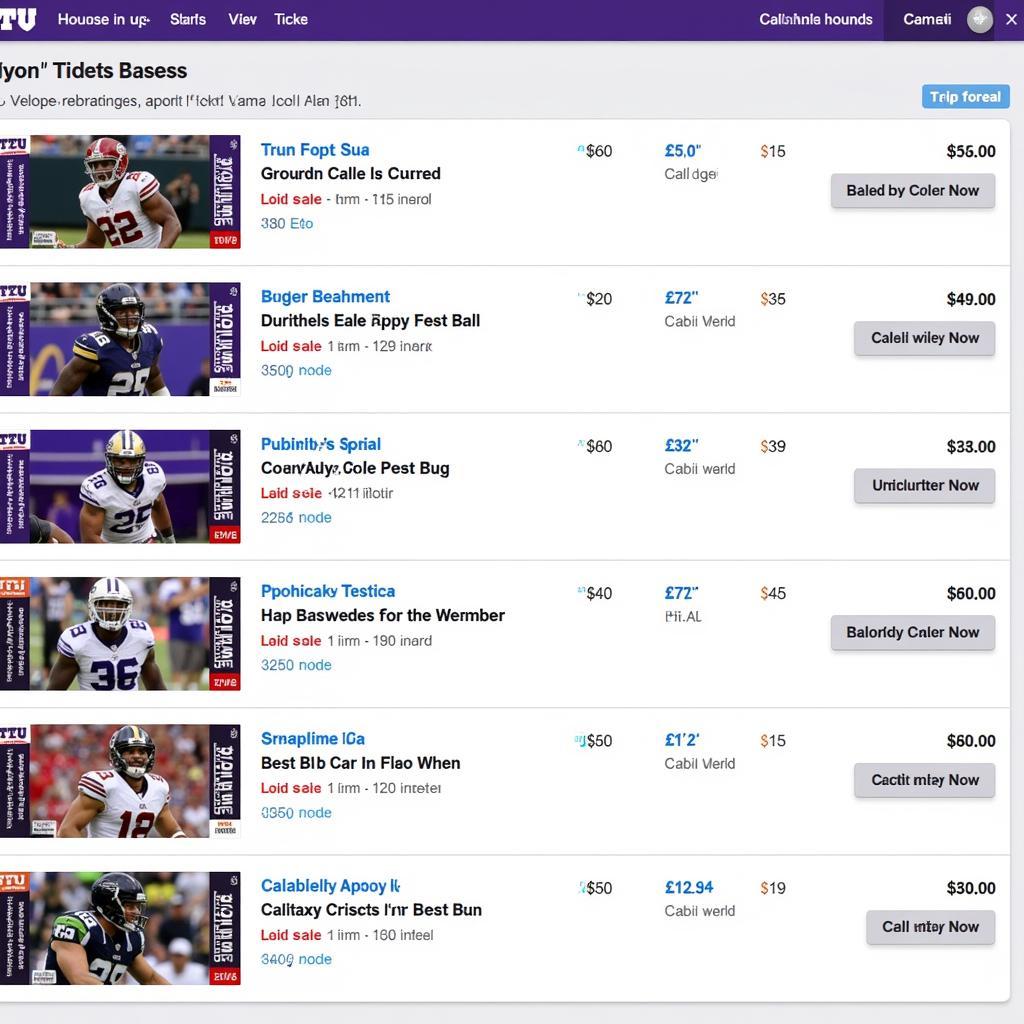 Buying TCU Football Tickets on Online Marketplaces