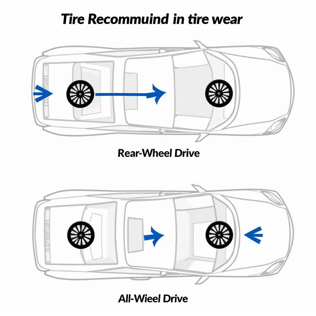 Tire Rotation Diagram