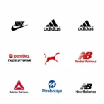 Top International Sportswear Brands Available in Poland