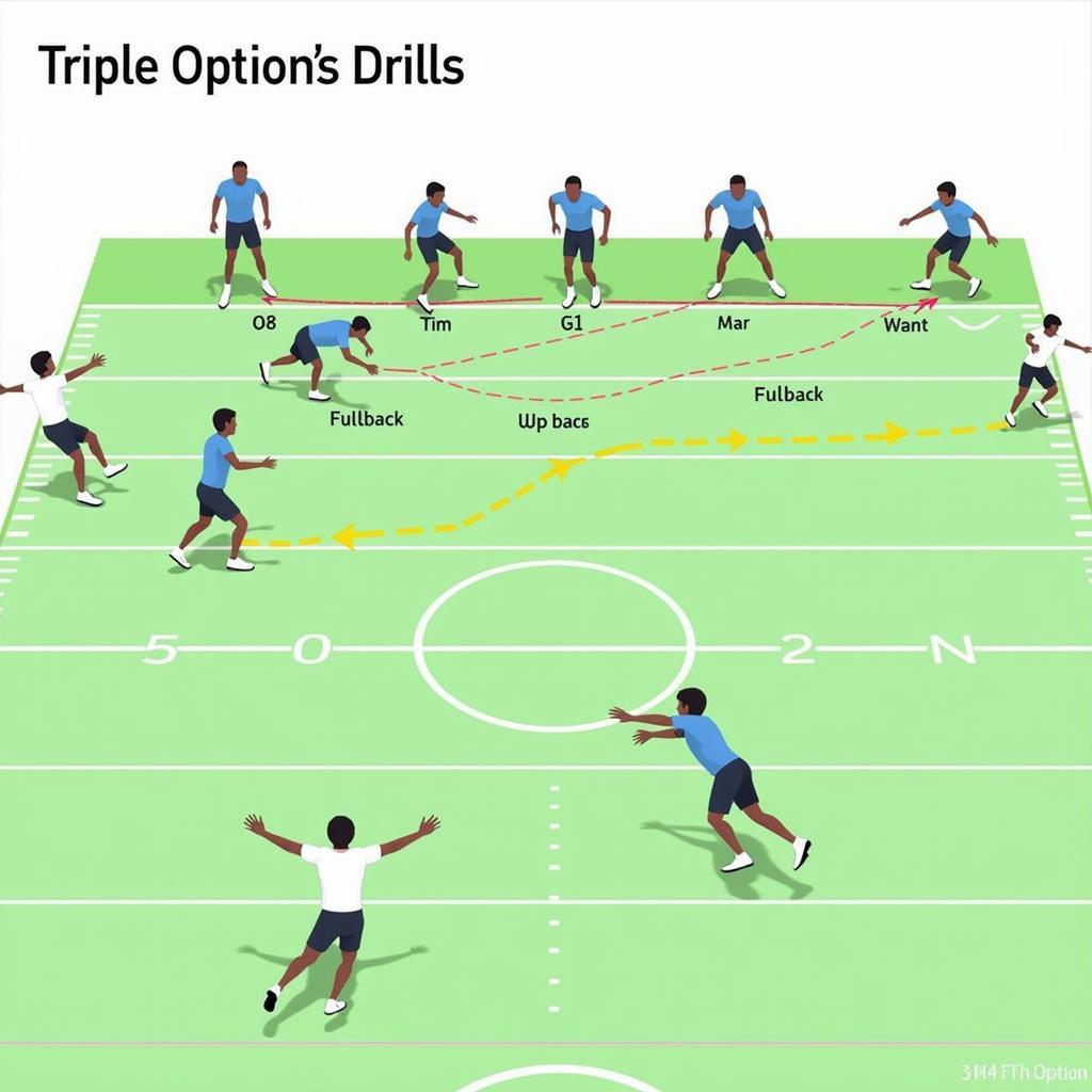 Triple Option Practice Drill