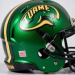 Tulane Football Helmet Details