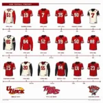 Evolution of UNM Lobos Football Jerseys