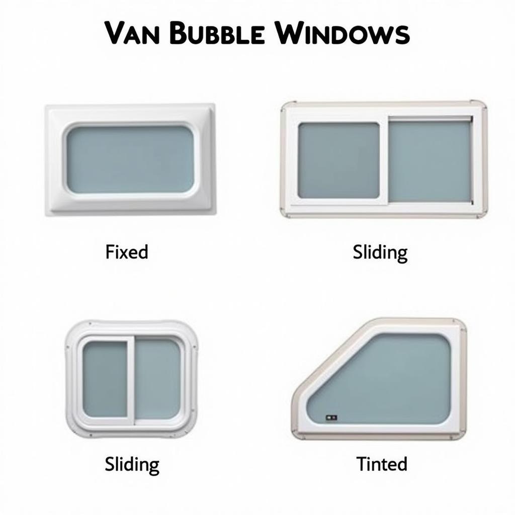 Different Types of Van Bubble Windows