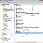 Vortex Mod Directory Structure