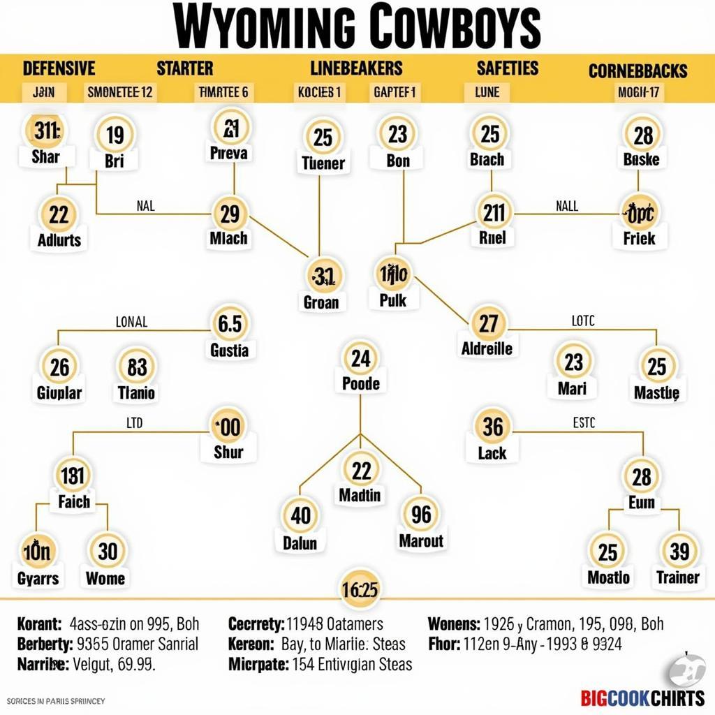 Wyoming Cowboys Defensive Depth Chart