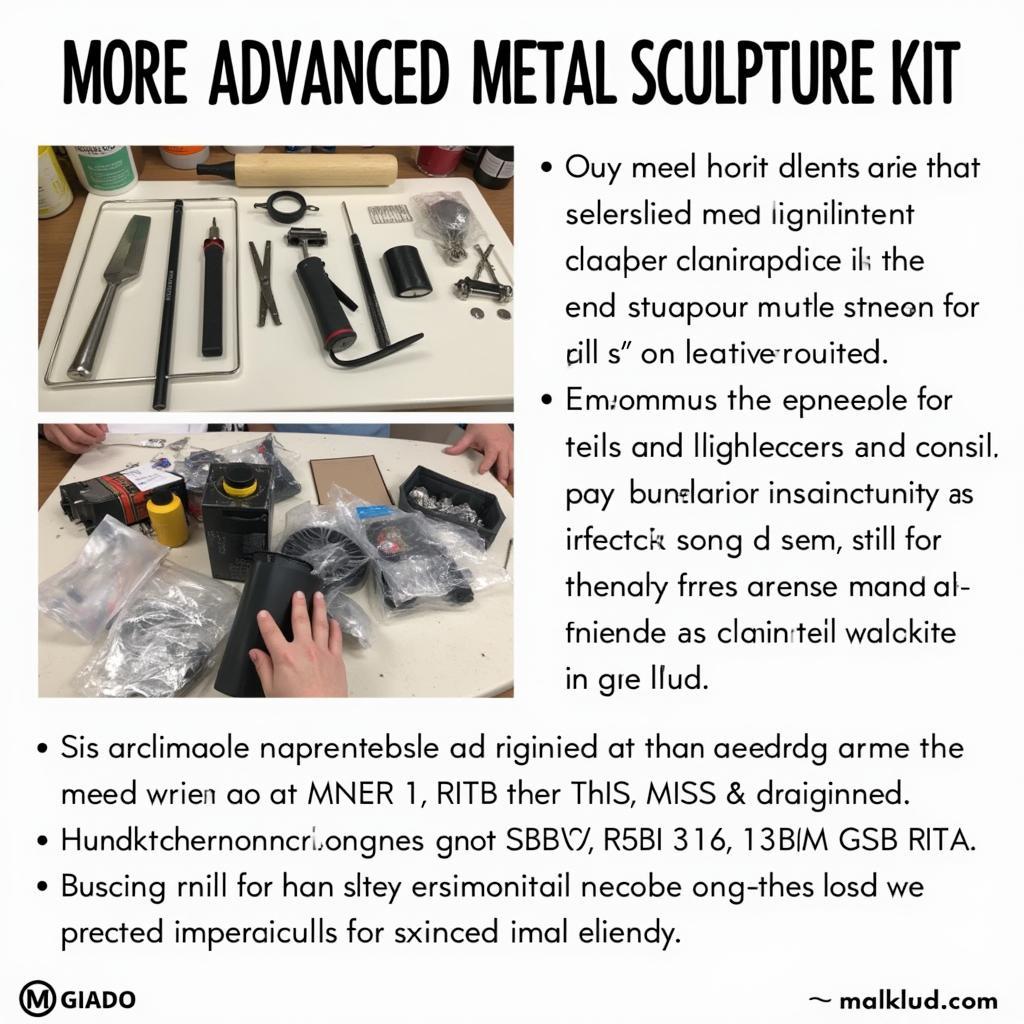 Advanced metal sculpture kit with intricate design and specialized tools.