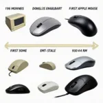 Evolution of Computer Mouse