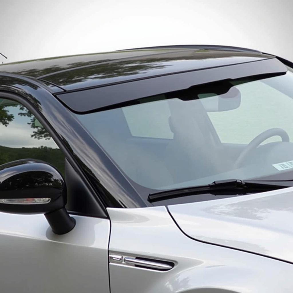 In-Channel Wind Deflector on Car