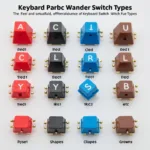 Mechanical Keyboard Switch Types