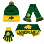 NDSU Bison Football Accessories: Hats, Scarves, and Gloves