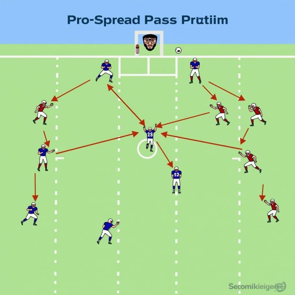 Quarterback Passing in a Pro Spread Offense