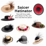 Various Saucer Hatinator Styles