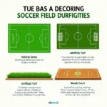 Different Types of Soccer Field Surfaces