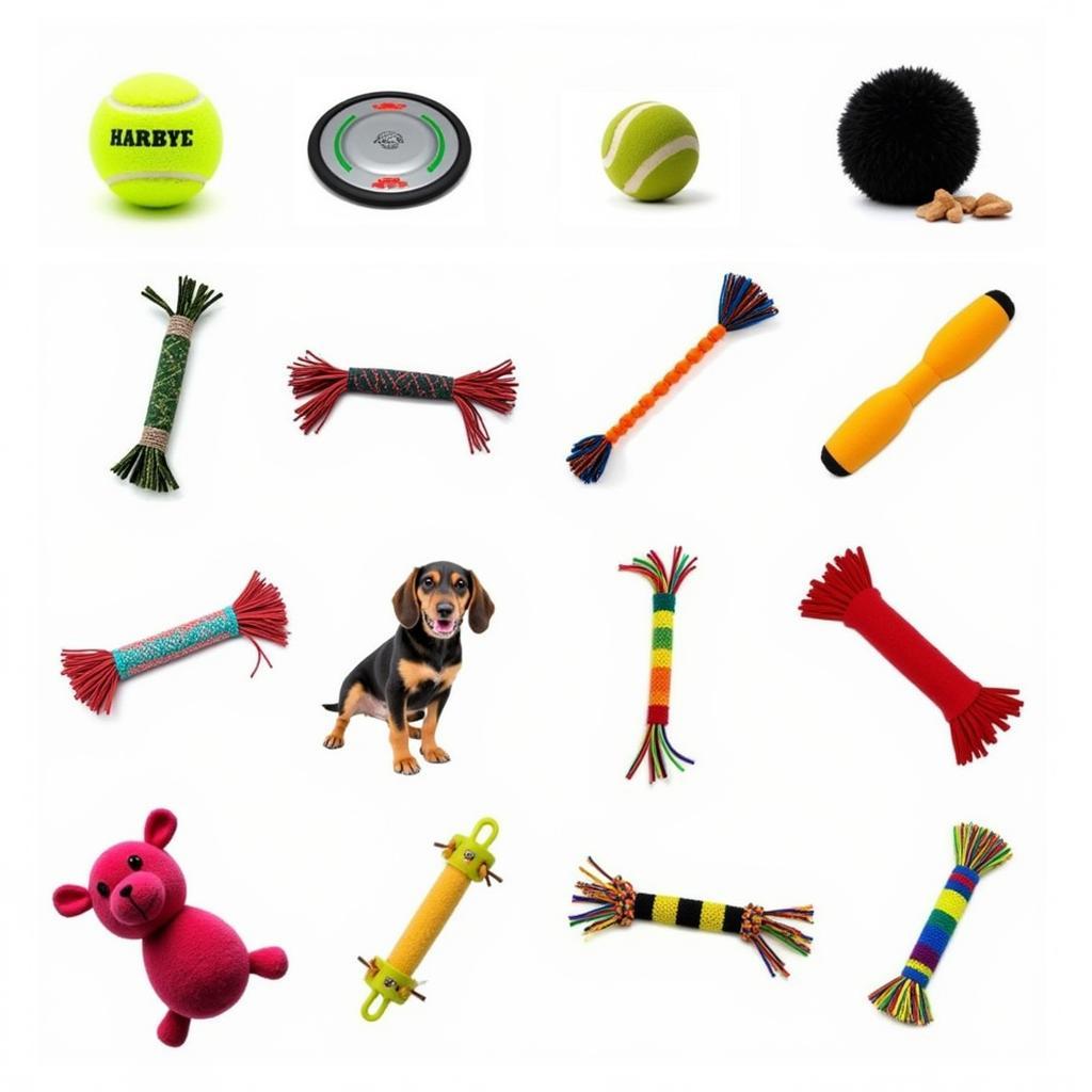 Different Types of Fetch Toys